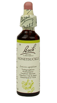 Bachbloesem Honeysuckle Slow Living Animals