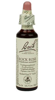 Bachbloesem Rock Rose Slow Living Animals