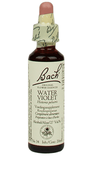 Bachbloesem Water Violet Slow Living Animals