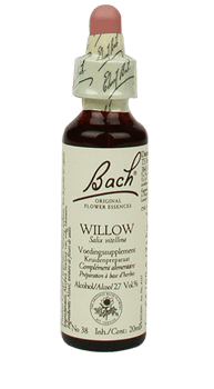 Bachbloesem Willow Slow Living Animals